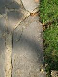 image of grave number 444861